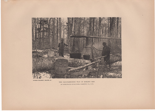 The old-fashioned way of boiling sap. An Adirondack Sugar Bush, Hamilton Co., N.Y.